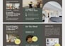 design an eye catching brochure